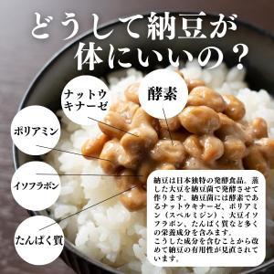 乾燥納豆 100g ドライ納豆 ひきわり納豆 ...の詳細画像4