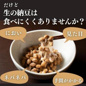 乾燥納豆 100g ドライ納豆 ひきわり納豆 ...の詳細画像5