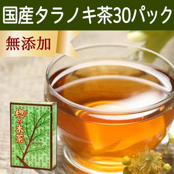 タラノキ茶 たらのき茶 タラの木茶 ティーパック 国産