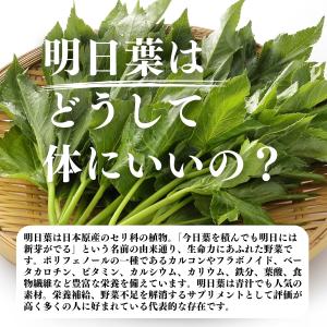 明日葉粉末 1kg 明日葉 パウダー 青汁 粉...の詳細画像3