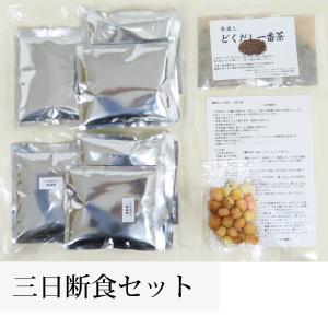 葛食・三日断食 ファスティングセット 3日間 ...の詳細画像2