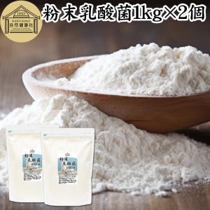 粉末乳酸菌 1kg×2個 サプリ サプリメント パウダー ビフィズス菌