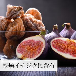 アルロース 99% 1kg 希少糖 粉末 パウ...の詳細画像4