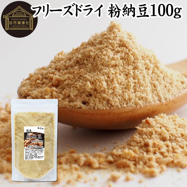 粉納豆 100g 粉末 粗挽き 粉末 納豆 なっとう フリーズドライ