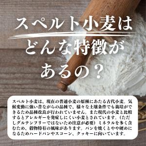 スペルト小麦粉 1kg 国産 スペルト小麦 強...の詳細画像2