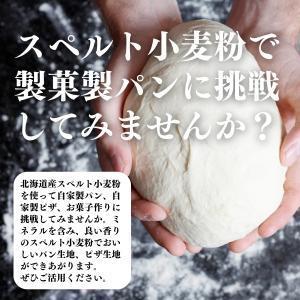 スペルト小麦粉 1kg 国産 スペルト小麦 強...の詳細画像5