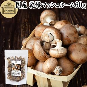 乾燥マッシュルーム 60g ドライ 国産 無添加 無農薬 業務用｜青汁・健康粉末の健康生活研究所