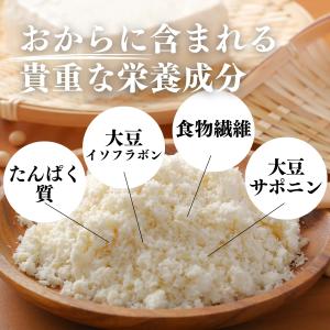 おからパウダー 1kg 乾燥 おから 粉末 遺...の詳細画像5