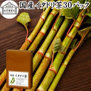 イタドリ茶３０パック