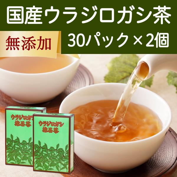 ウラジロガシ茶 30パック×2個 徳島県産 農薬不使用 ティーパック 国産