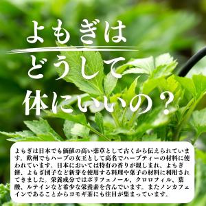 よもぎ粉末 100g×2個 よもぎパウダー よ...の詳細画像2