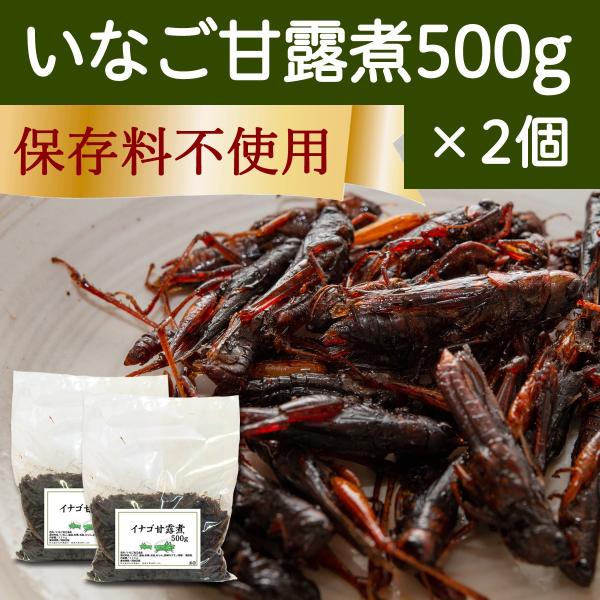 イナゴの佃煮 500g×2個 いなご 甘露煮 珍味 昆虫食 小えび 食感