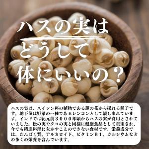 ハスの実 300g×2個 蓮の実 はすの実 ド...の詳細画像2