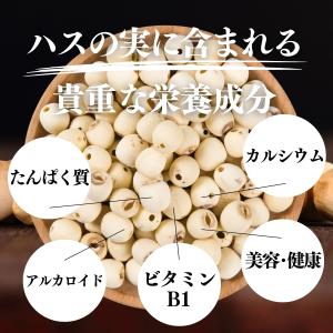 ハスの実 300g×2個 蓮の実 はすの実 ド...の詳細画像4