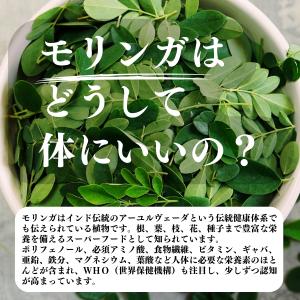 モリンガパウダー 400g×2個 モリンガ茶 ...の詳細画像2
