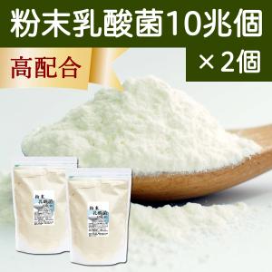 粉末乳酸菌 10兆個 1kg×2個 乳酸菌 サプリ サプリメント フェカリス菌｜hl-labo