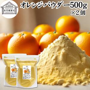 オレンジパウダー 500g×2個 フルーツ パウダー みかん 粉末 スムージー 果物