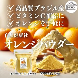 オレンジパウダー 500g×2個 フルーツ パ...の詳細画像1