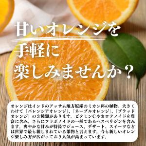 オレンジパウダー 1kg×2個 フルーツ パウ...の詳細画像2