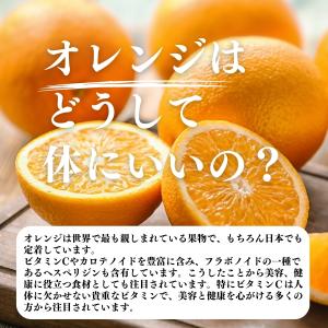 オレンジパウダー 1kg×2個 フルーツ パウ...の詳細画像3
