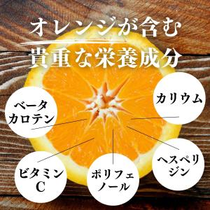 オレンジパウダー 1kg×2個 フルーツ パウ...の詳細画像5
