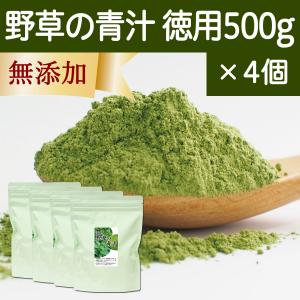 野草の青汁 徳用 500g×4個 すぎな よもぎ クマザサ 青汁 粉末｜hl-labo