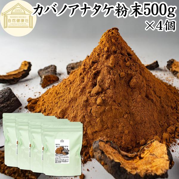 カバノアナタケ粉末 500g×4個 カバノアナタケ茶 チャーガ茶 チャガ茶