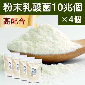 粉末乳酸菌 10兆個 1kg×4個 乳酸菌 サプリ サプリメント フェカリス菌｜hl-labo