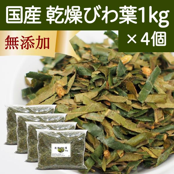 乾燥 びわ葉 1kg×4個 国産 びわの葉 枇杷葉 びわ葉茶や入浴剤の材料に