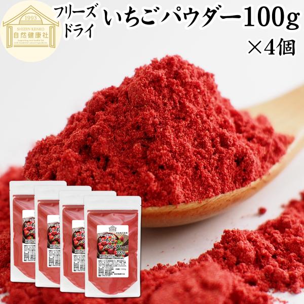 いちごパウダー 100g×4個 ストロベリー パウダー 粉末 無添加