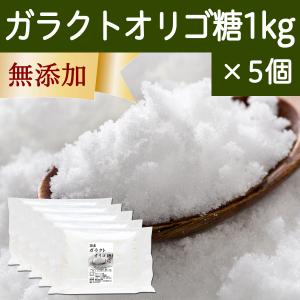 ガラクトオリゴ糖 1kg×5個 粉末 食品 原料 無添加 サプリ｜hl-labo