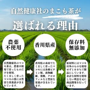 マコモ茶 100パック×5個 真菰茶 まこも茶...の詳細画像2