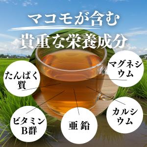 マコモ茶 100パック×5個 真菰茶 まこも茶...の詳細画像4