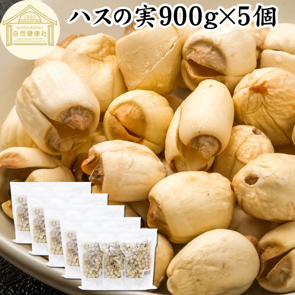 ハスの実 900g×5個 蓮の実 はすの実 ドライ 無添加 餡に 無漂白