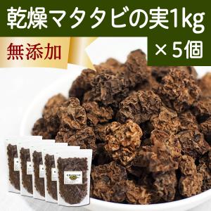 マタタビの実 1kg×5個 またたびの実 乾燥 虫えい果 虫こぶ またたび酒に 爆買｜hl-labo