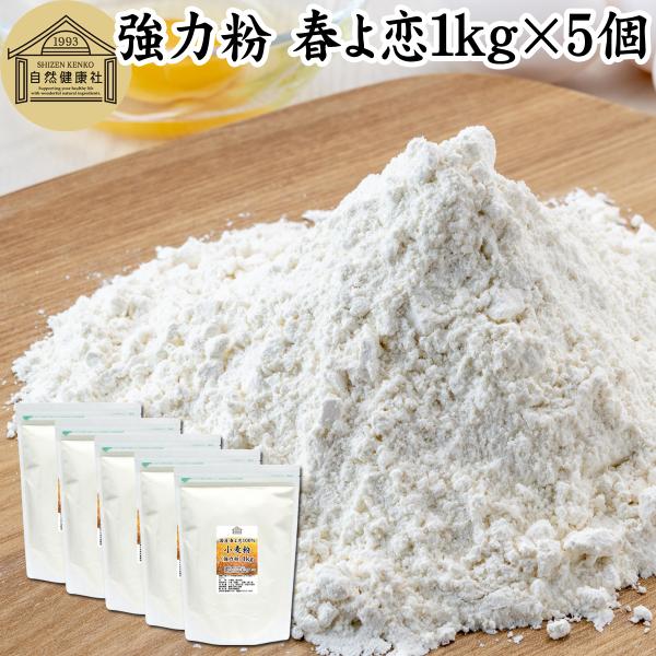 春よ恋 強力粉 1kg×5個 国産 業務用 パン用 北海道産 小麦粉