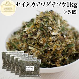 セイタカアワダチソウ 20g×5個入 : ludus shop Yahoo!店 - 通販