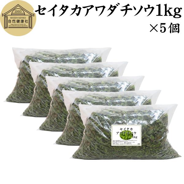 乾燥 セイタカアワダチソウ 1kg×5個 無農薬 無添加 国産