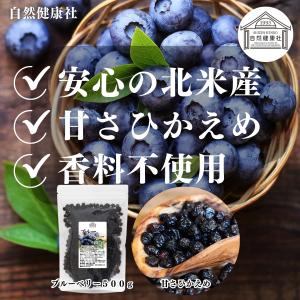 ブルーベリー 500g×5個 乾燥 ドライフル...の詳細画像1