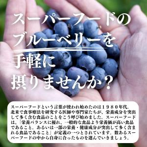 ブルーベリー 500g×5個 乾燥 ドライフル...の詳細画像2