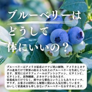 ブルーベリー 500g×5個 乾燥 ドライフル...の詳細画像3