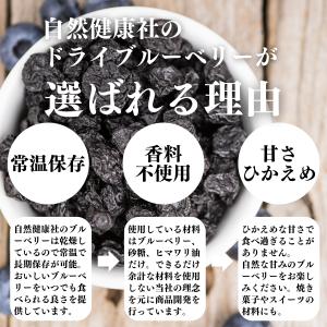 ブルーベリー 500g×5個 乾燥 ドライフル...の詳細画像4