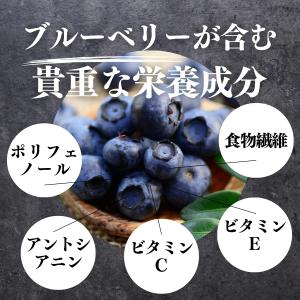 ブルーベリー 500g×5個 乾燥 ドライフル...の詳細画像5