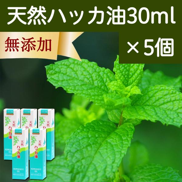 天然ハッカ油30ml×5個 スプレー式 ペパーミント商会 薄荷 オイル 無添加