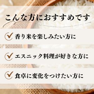 ジャスミンライス 1kg 無洗米 ジャスミン米...の詳細画像4