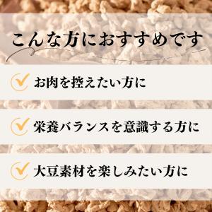 大豆ミート 1kg ミンチ 国産 業務用 北海...の詳細画像4