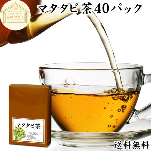 マタタビ茶 40パック またたび茶 ティーパック 無農薬 無添加