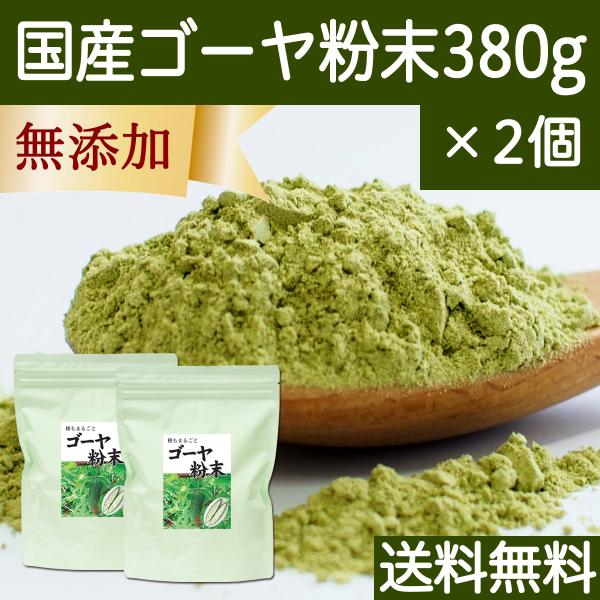 ゴーヤ粉末 380g×2個 ゴーヤ パウダー ゴーヤ茶 青汁 サプリ 送料無料