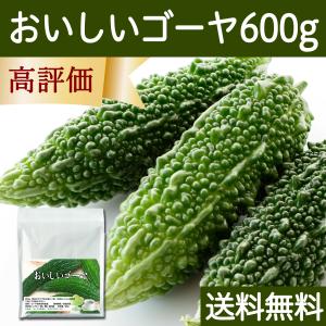 おいしいゴーヤ 600g ゴーヤ 粉末 ゴーヤ茶...の商品画像