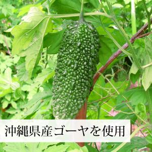 おいしいゴーヤ 600g ゴーヤ 粉末 ゴーヤ...の詳細画像3
